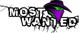 Fahrschule Most Wanted